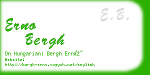 erno bergh business card